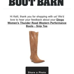 Dingo Women's Lightning Heeled Boots - Brown